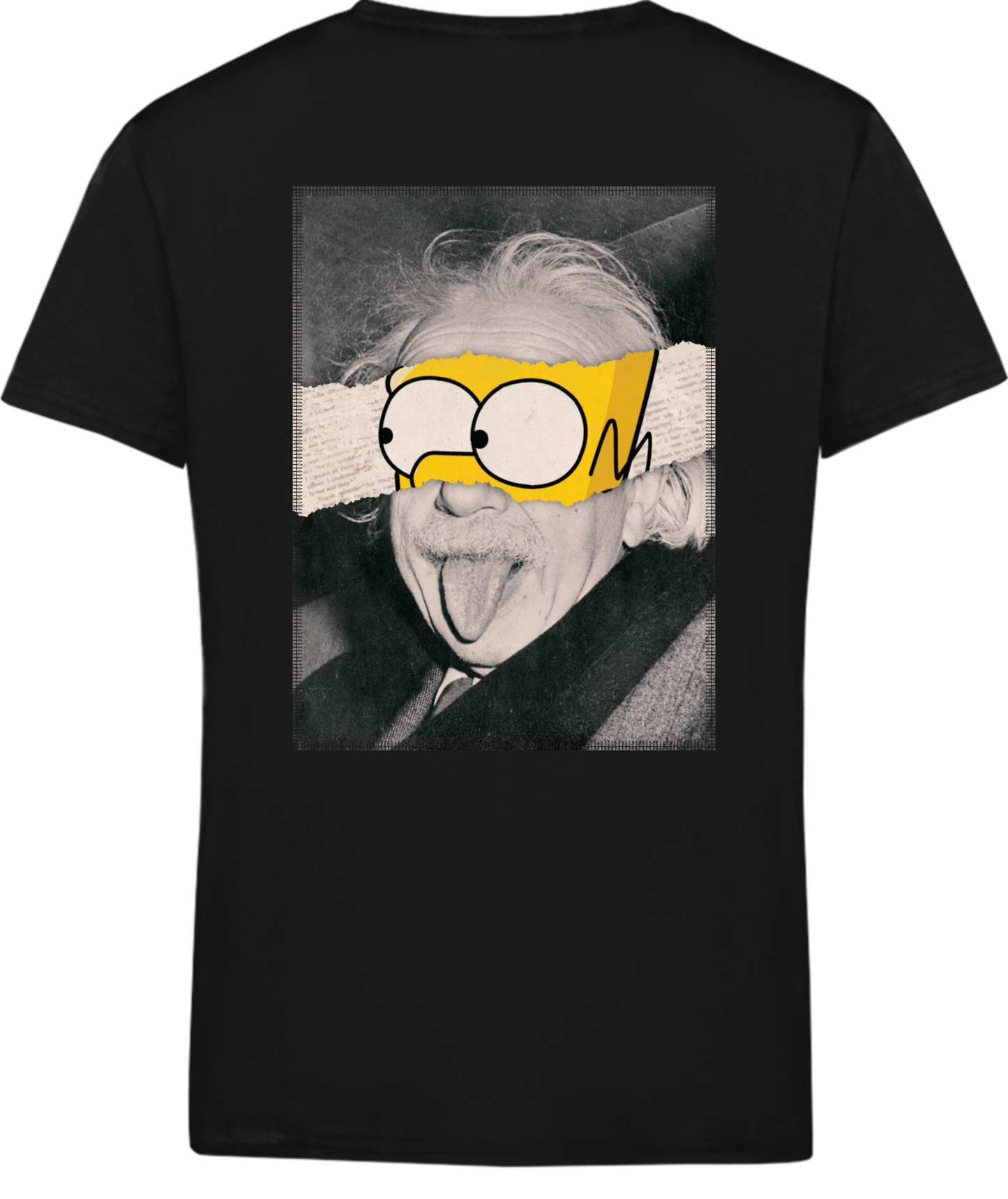 Homer Simpson x Albert Einstein