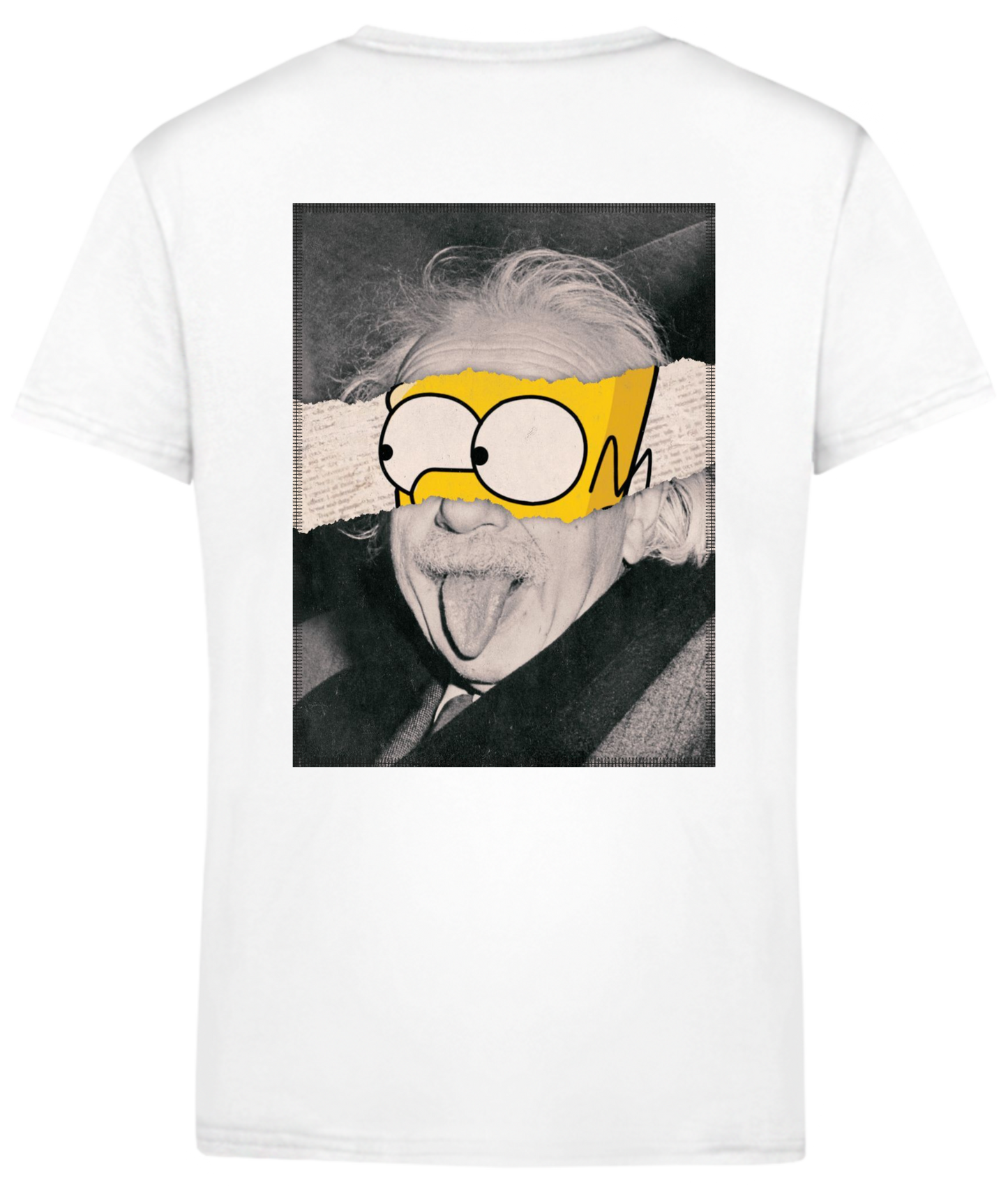 Homer Simpson x Albert Einstein